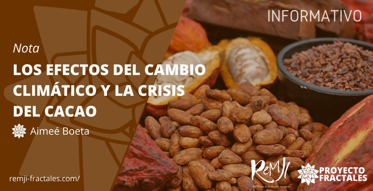 Los efectos del cambio climático y la crisis del cacao